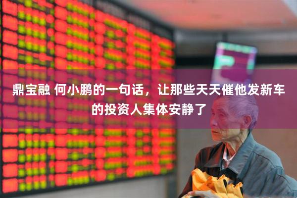 鼎宝融 何小鹏的一句话,让那些天天催他发新车的投资人集体安静了