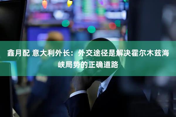 鑫月配 意大利外长：外交途径是解决霍尔木兹海峡局势的正确道路